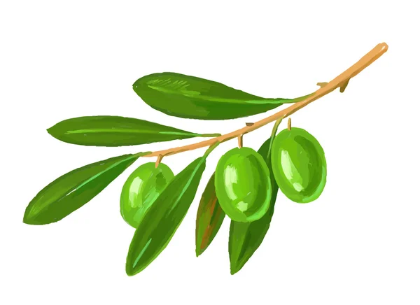 Картина гілки оливкового дерева — стоковий вектор