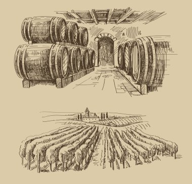 vineyard doodle clipart