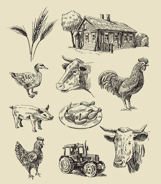 Granja y animales dibujados a mano — Vector de stock