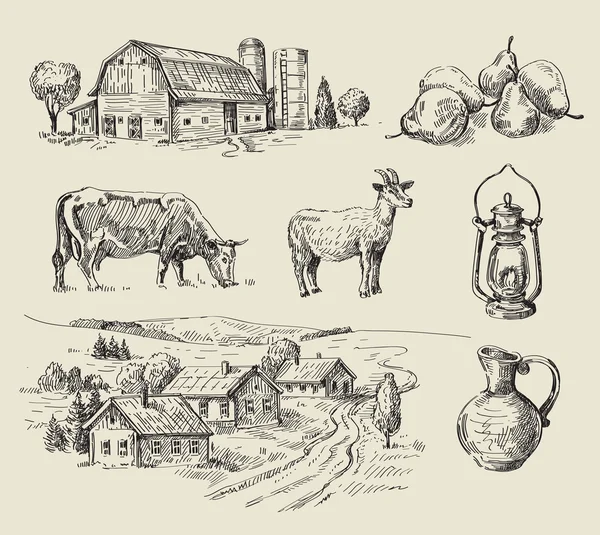 Bauernhof und Tiere von Hand gezeichnet — Stockvektor