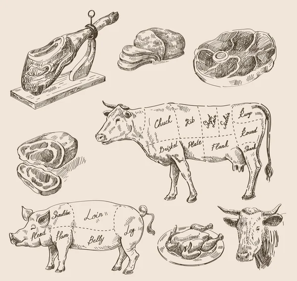 Schizzo cibo disegnato a mano — Vettoriale Stock