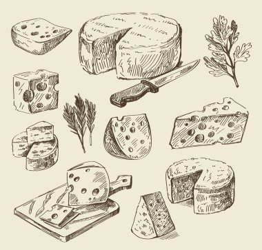hand drawn food sketch clipart