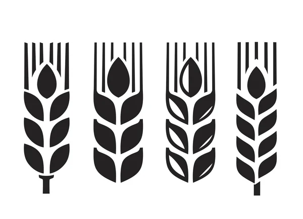 Vector black wheat — Stock Vector