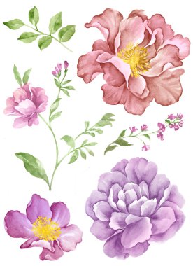 çizim çiçek kümesi 