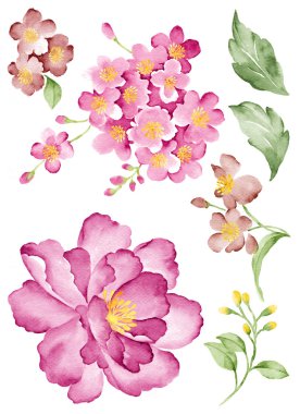 çizim çiçek kümesi 