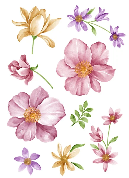 Illustration flower set — Stock Photo, Image