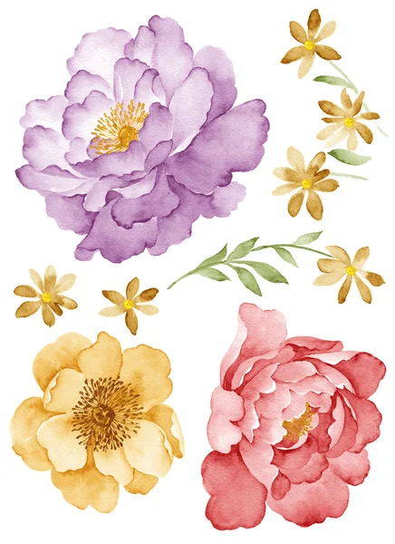 Ilustración flor conjunto —  Fotos de Stock