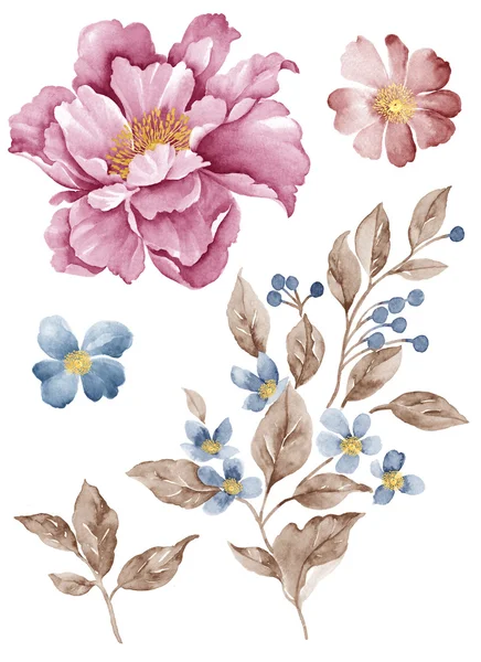 Illustrazione fiore set — Foto Stock
