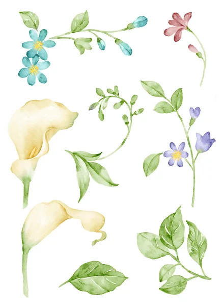 Çizim çiçek kümesi — Stok fotoğraf