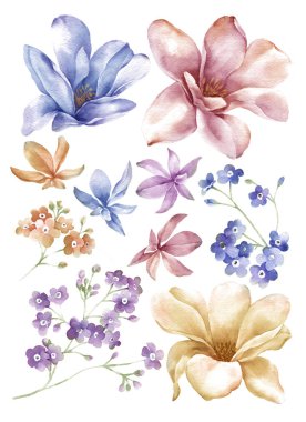 suluboya illüstrasyon çiçeği basit beyaz arkaplanda ayarlandı