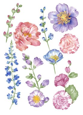 suluboya illüstrasyon çiçeği basit beyaz arkaplanda ayarlandı