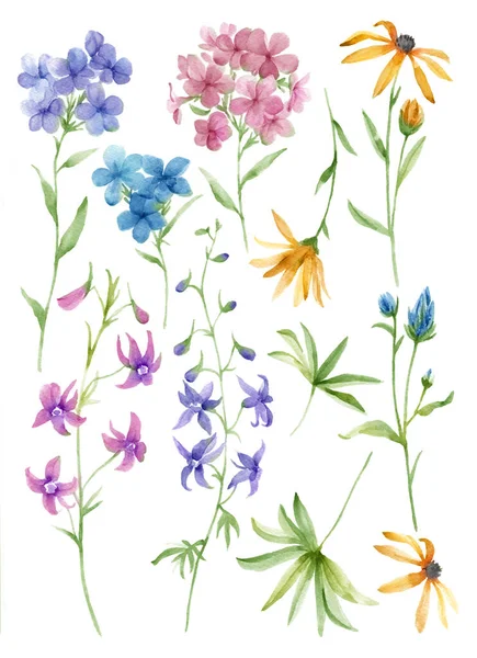 Aquarel Illustratie Bloem Set Eenvoudige Witte Achtergrond — Stockfoto