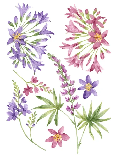 Watercolor Illustration Flower Set Simple White Background — Stock Photo, Image