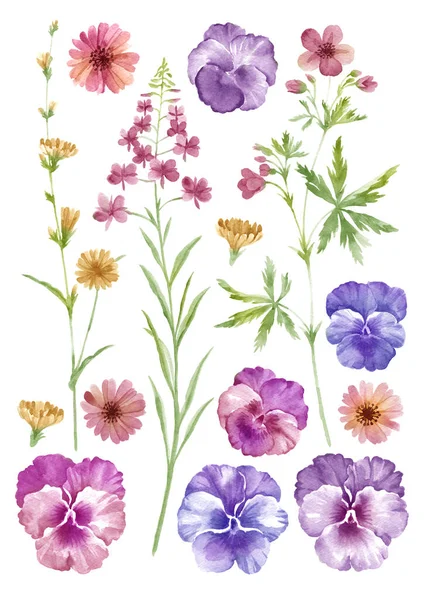 Aquarel Illustratie Bloem Set Eenvoudige Witte Achtergrond — Stockfoto