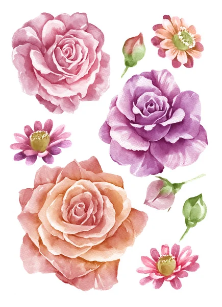 Aquarell Illustration Blume Einfachen Weißen Hintergrund Gesetzt — Stockfoto