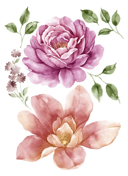 Aquarel Illustratie Bloem Set Eenvoudige Witte Achtergrond — Stockfoto