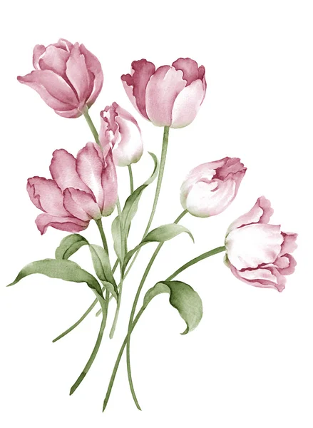 Illustration bouquet — Stock Photo, Image