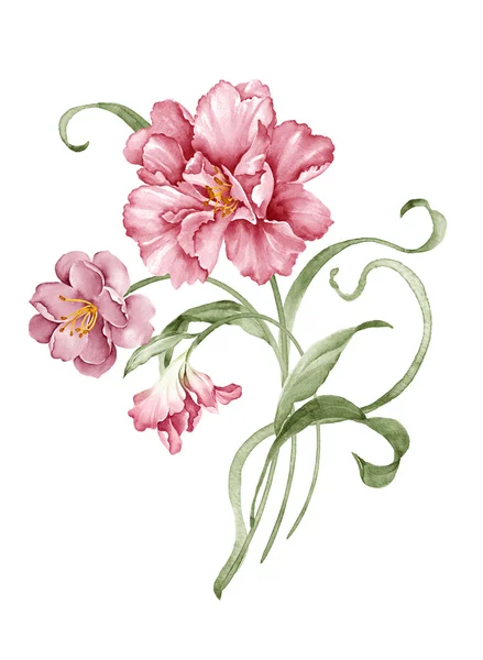 Illustrazione bouquet — Foto Stock