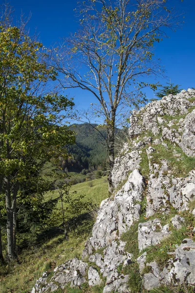 Rock Natural Environment — Stock Photo, Image