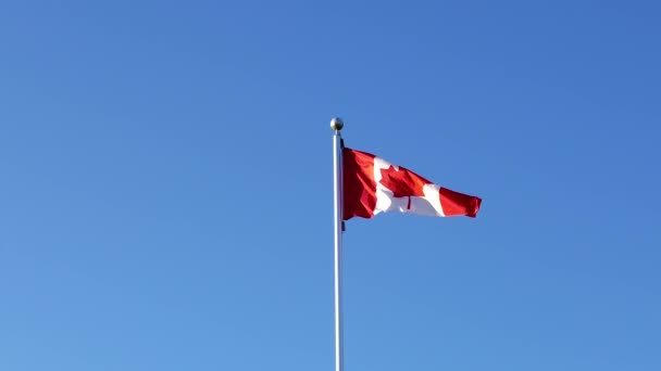 加拿大的国旗在桅杆上，挥舞着 — 图库视频影像