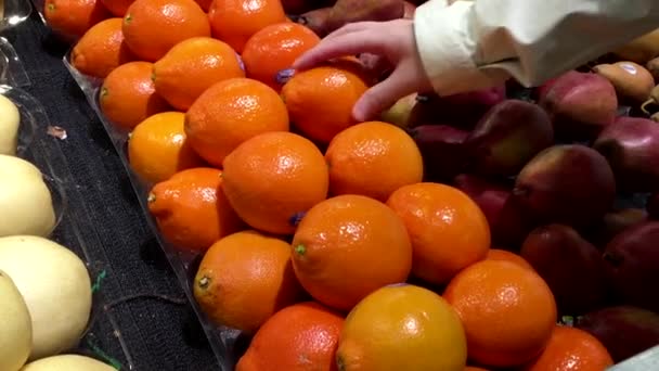 女人在杂货店生产部中选择 minneola 橘 — 图库视频影像