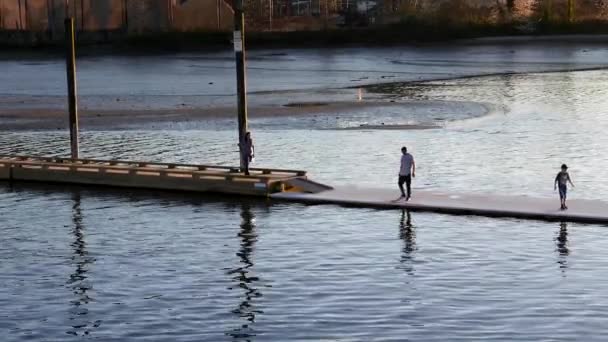 Motion du père et du fils jouant sur le quai avec l'ombre de réflexion de la rivière au parc Rocky Point — Video