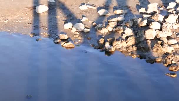 ロッキー ポイント公園で岩の海岸線 — ストック動画