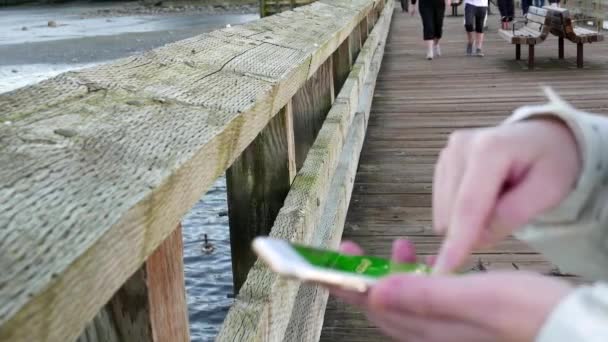 Femme utilisant un téléphone intelligent au parc Rocky Point — Video