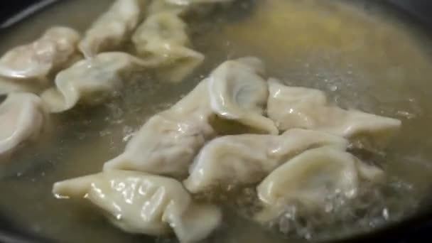 Stäng upp kvinna förbereda severing kinesisk dumpling — Stockvideo