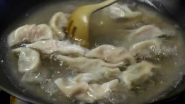 Nära håll matlagning dumplings i en stekpanna — Stockvideo