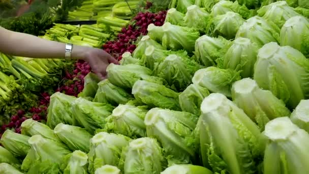 Vrouw die groene sla selecteert in de supermarkt — Stockvideo