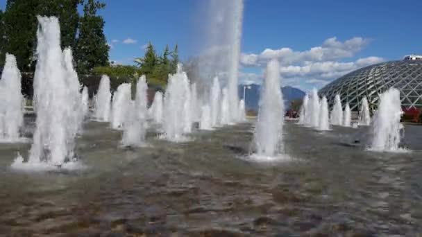 People enjoy and have fun in the fountain — Stock Video
