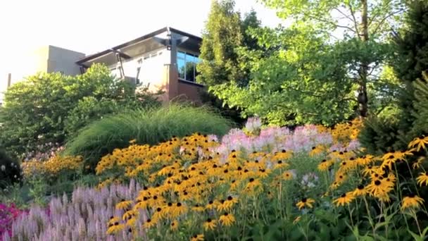 Edificio detrás del árbol y la flor — Vídeos de Stock