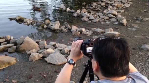 Fotógrafo tomando fotos de pato — Vídeo de stock