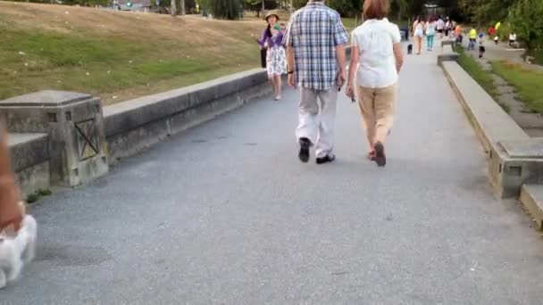 As pessoas caminham no parque ao lado de um lago — Vídeo de Stock