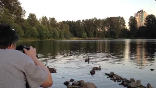 Fotógrafo tomando foto de pato cerca del lago — Vídeo de stock