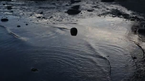 岸边海浪和石头 — 图库视频影像