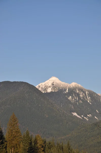 Paysage de montagne de neige — Photo