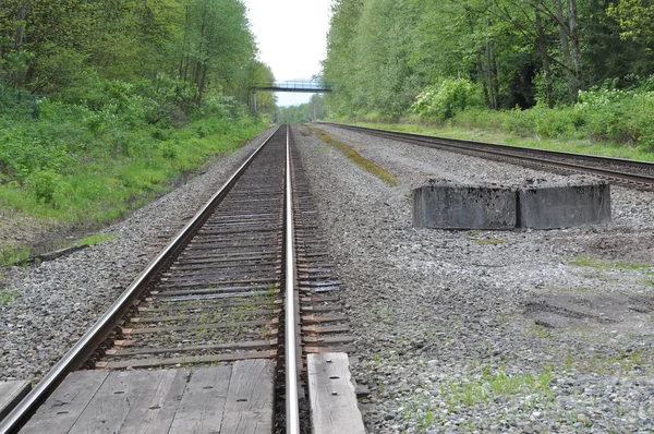 Macro spoorweg track — Stockfoto