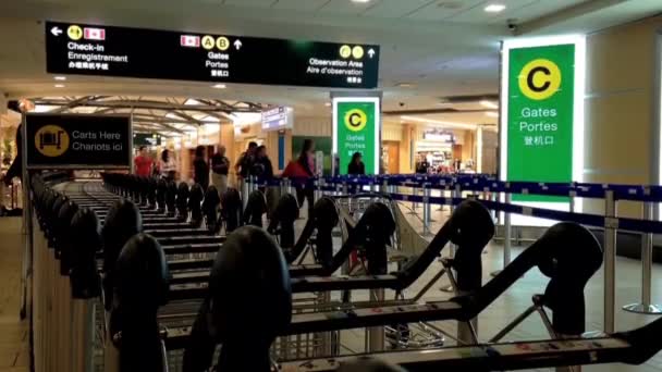 Gente saludando con su familia frente a la puerta de embarque — Vídeo de stock