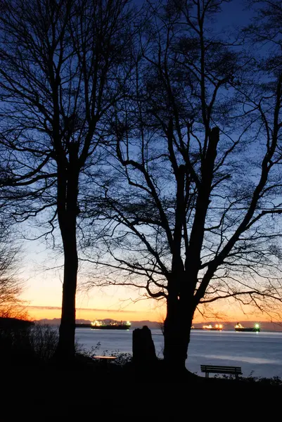 Escena nocturna del centro de Vancouver en Stanley Park —  Fotos de Stock