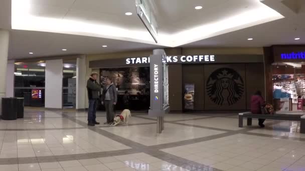 大都市のショッピング モール内の買い物客の時間経過 — ストック動画