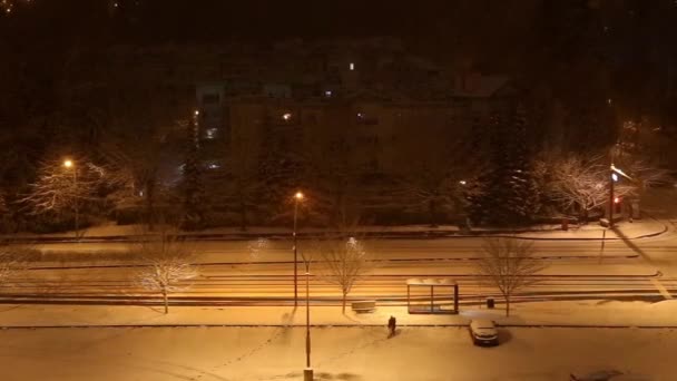 People walk at night in snow storm — Stock Video