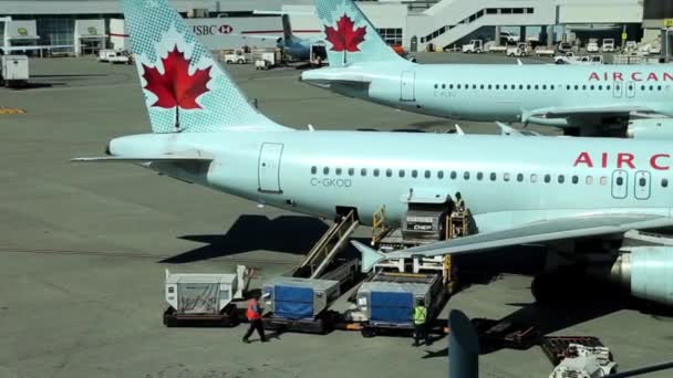 Gli aerei di Air Canada si siedono parcheggiati al terminal dell'aeroporto — Video Stock