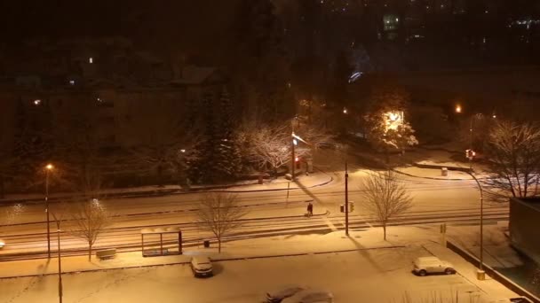 Cars drive at night in snow storm — Stock Video