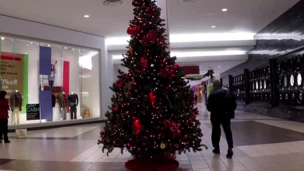 Een hoek van winkelcentrum met kerstboom in gebouw. — Stockvideo