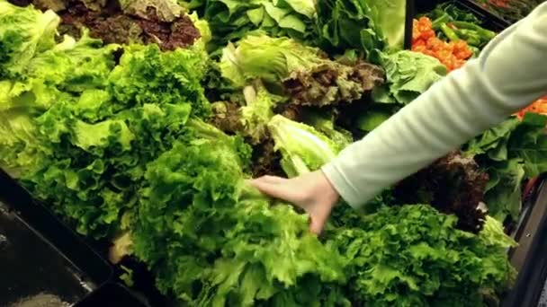 Mujer seleccionando lechuga verde fresca en el departamento de productos de la tienda de comestibles . — Vídeo de stock