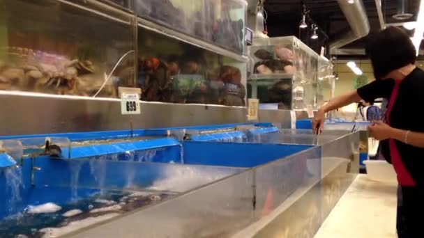 Woman buying fresh crab in Chinese supermarket. — Stock Video