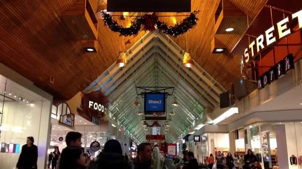 Shopper inside Coquitlam Center shopping mall during Christmas shopping season. — Stock Video