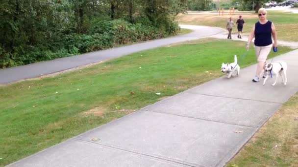 Fechar as pessoas e cão andando no parque — Vídeo de Stock